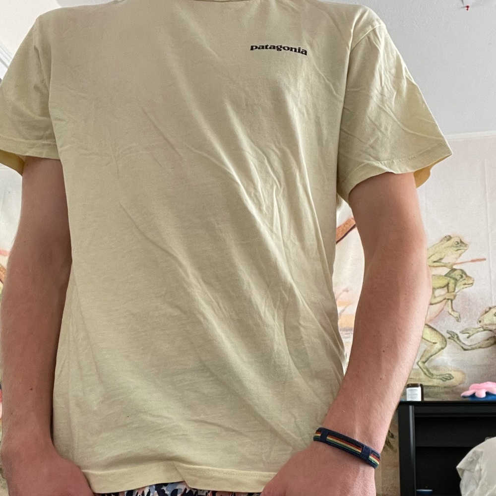 Patagonia T-shirt